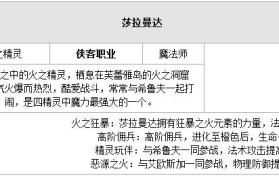 魔力宝贝版魔法师职业技能攻略一览表